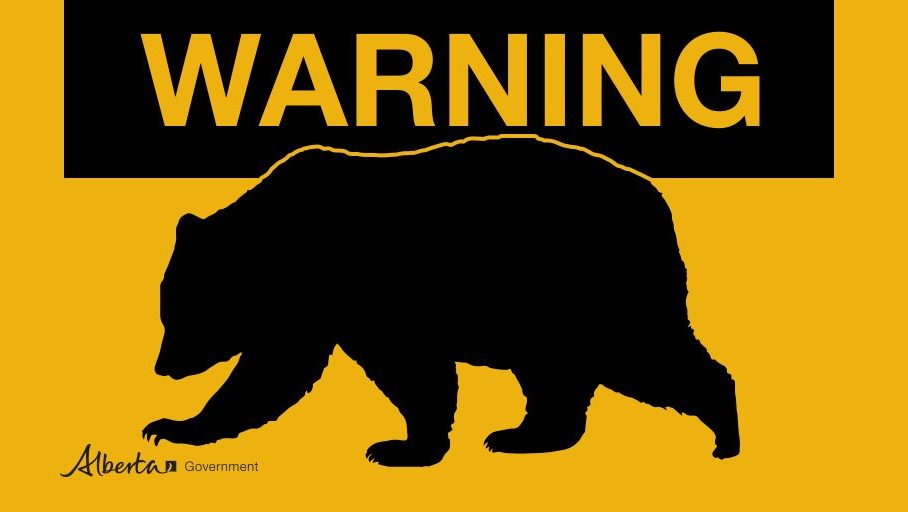 warning bear
